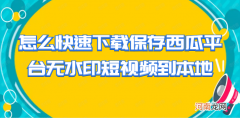 西瓜视频怎么下载到电脑上