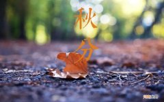 秋分习俗盘点 秋分的风俗有哪些