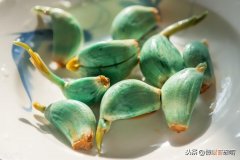 腌腊八蒜放米醋还是陈醋答案 腌制腊八蒜用什么醋比较好