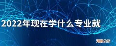 2022年现在学什么专业就业前景最好