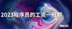 2023程序员的工资一般都是多少 收入高吗