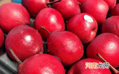红啤梨是什么季节的水果