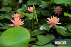 2022年6月有几个休息日