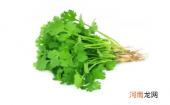 吃香菜会增加黑色素吗