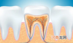 牙结石掉了牙龈空了牙齿会不会掉