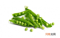 豌豆发芽了还可以吃吗