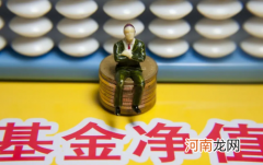 净值估算是负数能买入吗