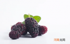 桑葚不适合什么人吃