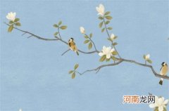 2023年属兔人的感情和婚姻 属兔人本命年如何改善爱情