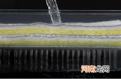 鱼缸滤网多久洗一次