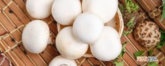 蘑菇放冰箱长白毛能吃吗 冰箱里长白毛的蘑菇可以吃吗