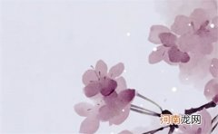 2022年12月26日出生女孩八字看命,根据命理起名怎么取