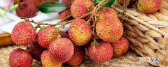 荔枝能不能放冰箱 荔枝可以放冰箱保存吗