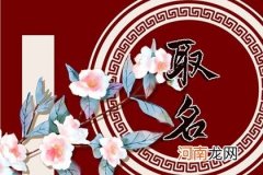 2023年2月10日正月二十男孩生辰生辰八字取名 宝宝取名