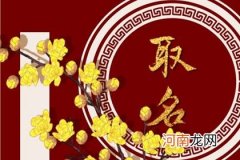 2023年2月17日正月廿七生的女生八字 周易起名