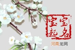 2023年2月19日正月廿九雨水生的男孩八字 宝宝取名