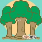 植树节节日由来及意义一览