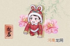 2023年2月23日二月初四生的男生八字 周易起名