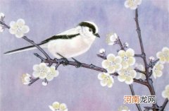 好听的学校名称大全好听有档次教育公司名字大全