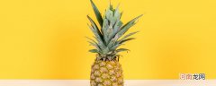 菠萝在家怎么削皮 自己在家削菠萝怎么削皮