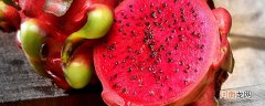 火龙果适不适合放冰箱 火龙果可以放在冰箱里吗