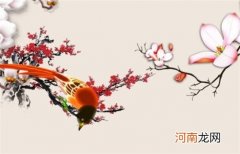 2023本命年穿什么颜色的衣服好 不能穿什么颜色