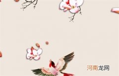 1987年出生2023年是本命年吗 属兔本命年运势太岁