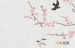 出租车队起名大全集非常大气的租车公司名字