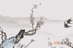 2023年属兔3月出生好吗 几月备孕最佳