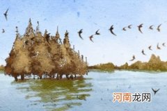 2023年八字算命 兔年八字命理分析