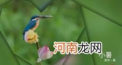 2022小暑和大暑哪个更热