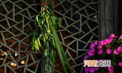 2022端午节挂菖蒲和艾草有辟邪的说法吗