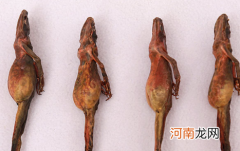 男人长期吃雪蛤有啥副作用