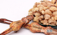 一只雪蛤大概多少克