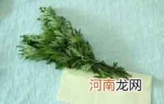 几月的艾草药用价值高