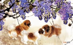 乞巧节的来历 乞巧节的由来