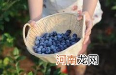 一天吃125克蓝莓可以吗