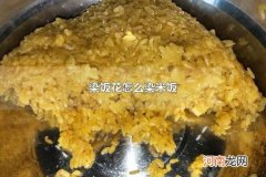 染饭花怎么染米饭 染饭花染米饭要泡多久