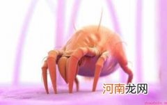 床单枕巾多久清洗一次 超过这个时间螨虫会成千上万