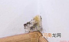 墙壁发霉帮你赶走顽固霉斑 日常简易处理小窍门
