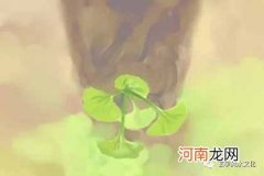 怎样看房子风水的朝向？ 房间朝向风水