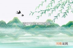 清明节的来历和风俗 清明节设扫墓假期是从哪个朝代开始的