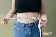 腰围92是二尺几的腰 腰围82厘米是二尺几的腰