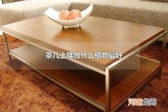 茶几上摆放什么植物最好 客厅放什么摆件比较好