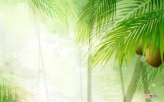 烛光晚餐需要准备哪些 烛光晚餐的含义