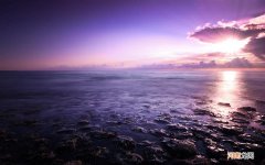 静脉曲张中医能否根治相关了解点第10点 静脉曲张中医能否根治