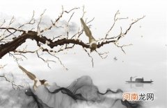 电脑软件公司名字 注册公司取什么名字最佳