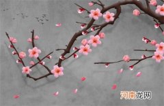 科技公司名称大全简单大气三个字 有创意的科技公司名字