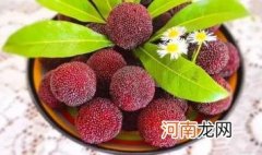 不小心吞了杨梅核会排出来吗