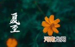 入伏是从哪个节气开始